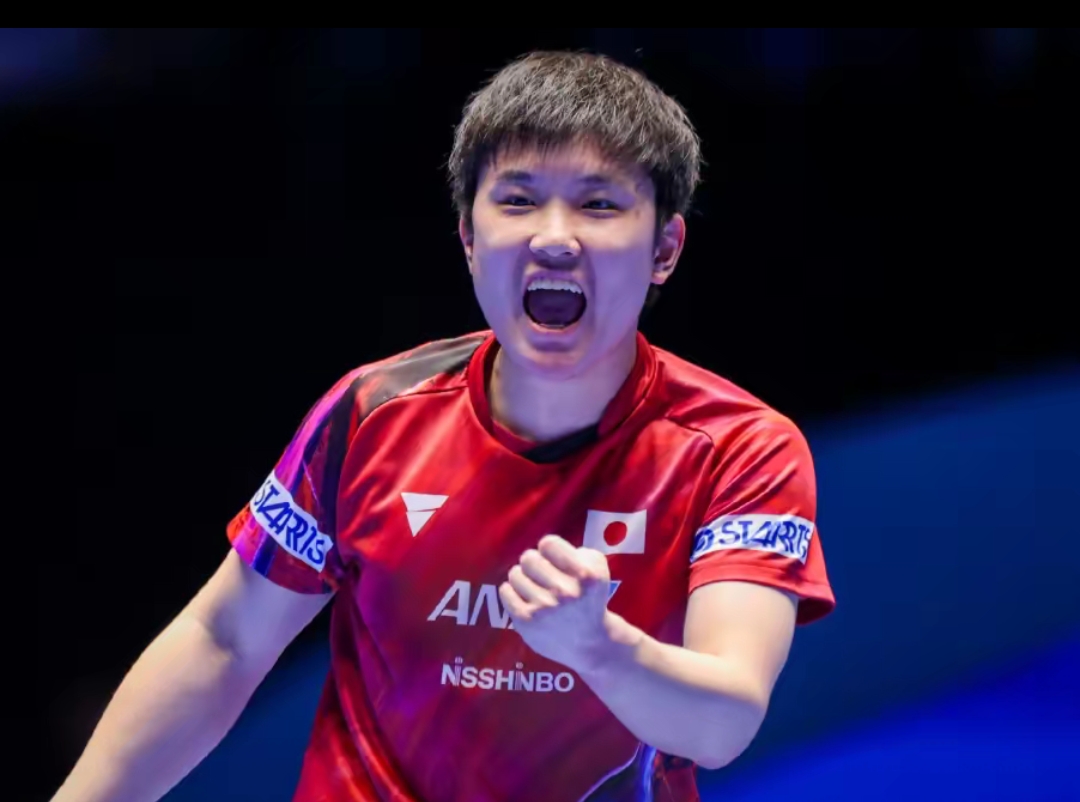 会市场的眼 会市场的眼