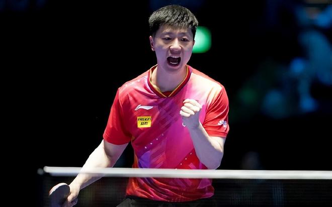 提供全方位 提供全方位